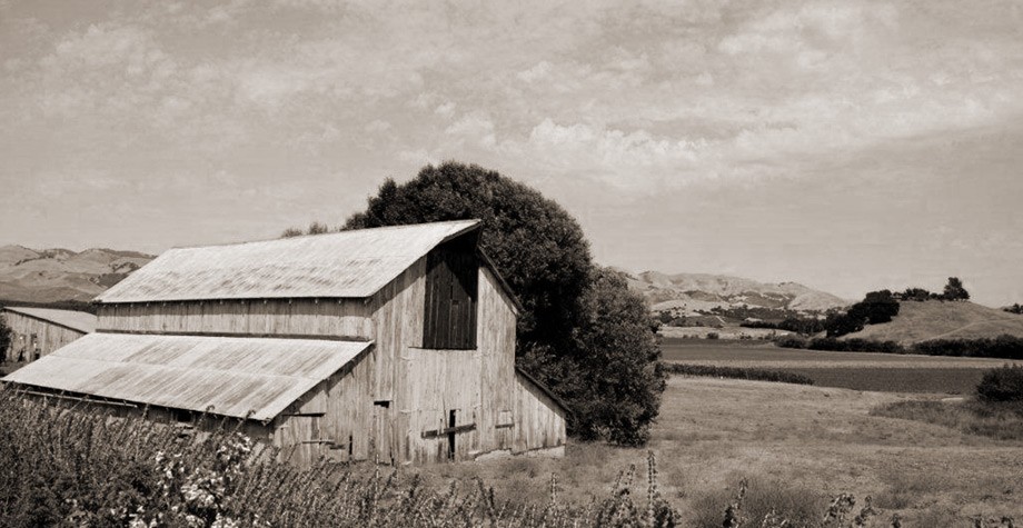 Winemaking Philosophy Photo