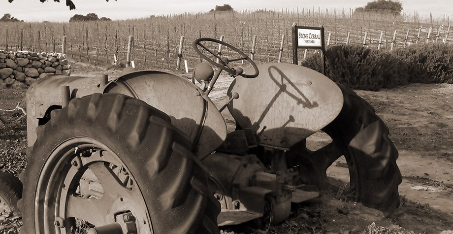 Winemaking Philosophy Photo