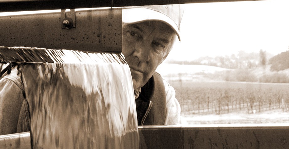 Winemaking Philosophy Photo