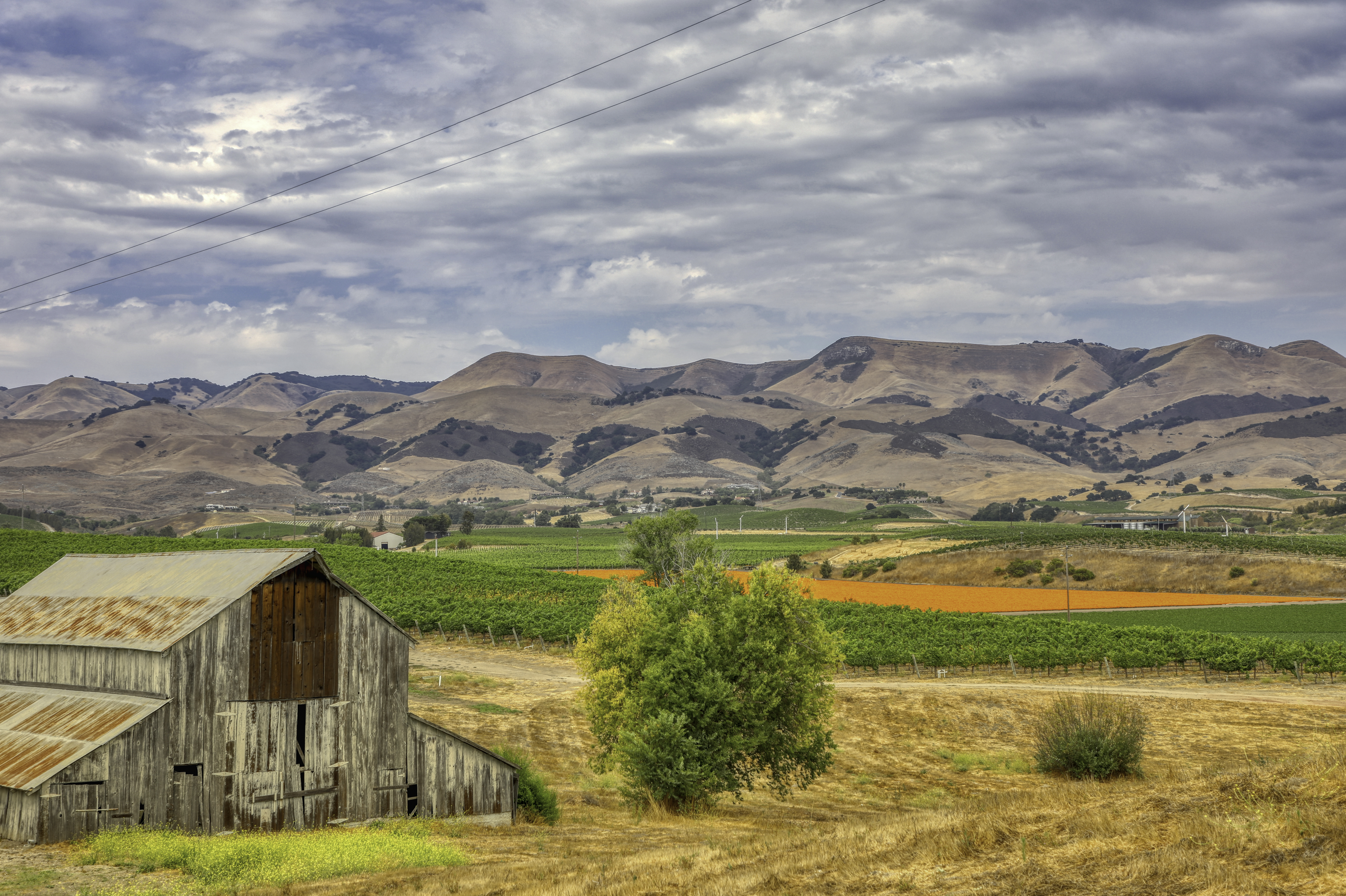 Kynsi Winery